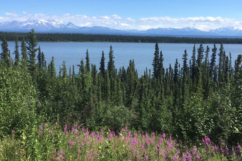 ALJAŠKA YUKON / Hana Danihelková